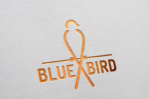 BlueBird_logo