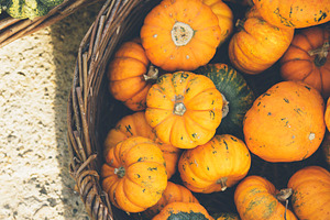Autumn pumpkins on farm market from, a Background Photo by hitdelight