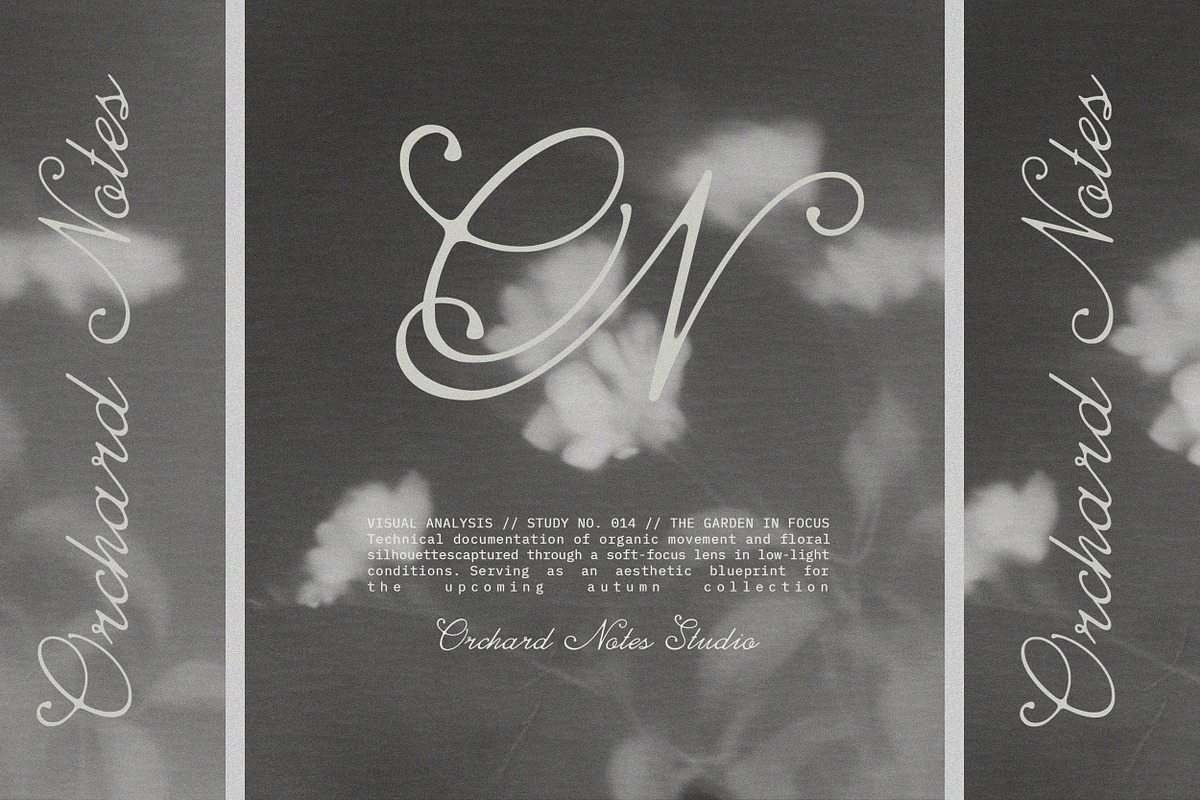 Beyond Society Fashion Script Font, a Script Font by AnMark (Photo 2 of 13)