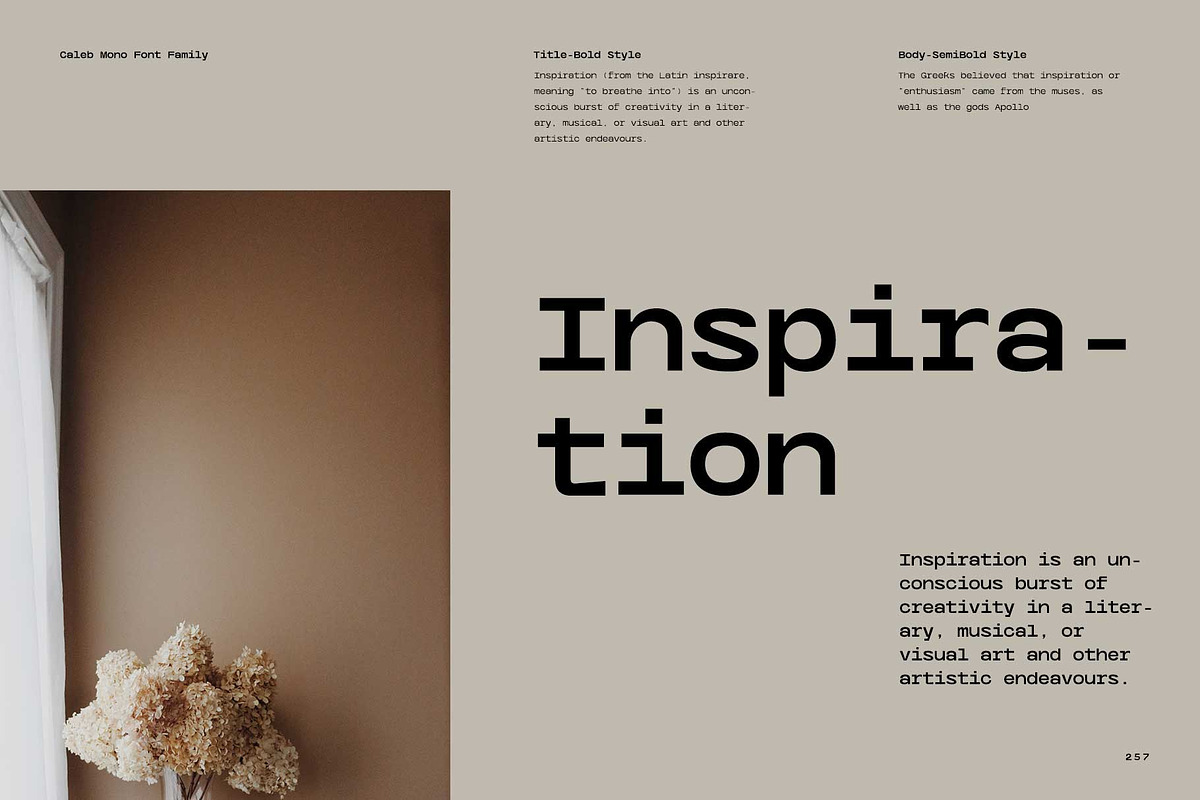 Caleb Mono Font Family, a Sans Serif Font by Ryul Davidson (Photo 11 of 19)