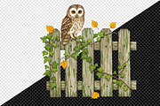 Autumn Owl Clipart Sublimation, an Illustration by Creative Art (Thumbnail 7 of 9)