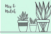 Hand Drawn Succulent Illustrations, an Illustration by Hannah Eliza Studio (Thumbnail 4 of 6)