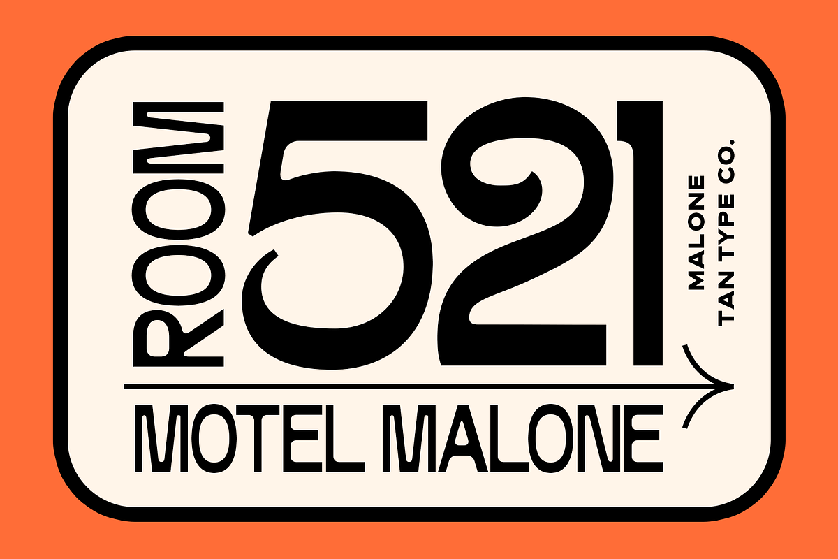 TAN-MALONE, a Sans Serif Font by TanType (Photo 6 of 11)