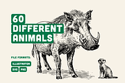 60 Wildlife Animal Illustrations, an Animal Illustration by Vectorian (Thumbnail 3 of 6)