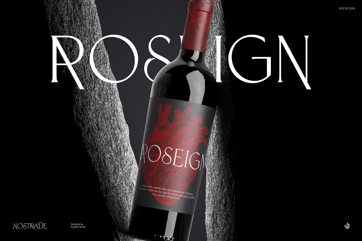 Nostrade, a Serif Font by Aluyeah Studio (Photo 2 of 15)