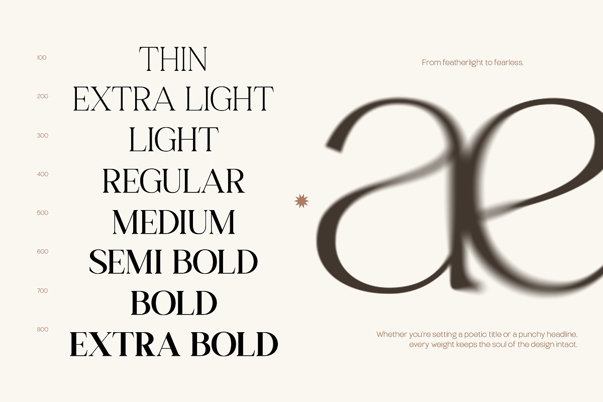 TT Gateral – Elegant Serif Typeface, a Serif Font by truetype (Photo 3 of 15)