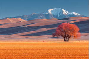 A sunset view of sand waves can be, a Nature Photo by ZinetroN