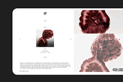 Studio Null. - WIX STUDIO TEMPLATE, a Branding & Logo Template by BOTTEGAM.STUDIO (Thumbnail 6 of 6)