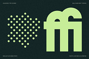 FlyBridge - Bold Ligature Rich Sans, a Sans Serif Font by SilverStag Type Foundry (Thumbnail 16 of 30)