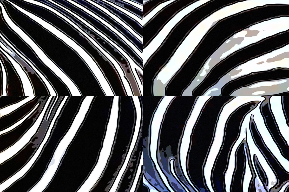 Zebra Digital Paper - Volume 1, a Pattern Graphic by PixieSparks (Photo 3 of 3)
