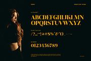 Himon Serif Font, a Serif Font by Perfectype (Thumbnail 8 of 8)