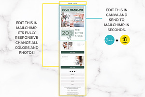 Canva & Mailchimp Newsletter Green