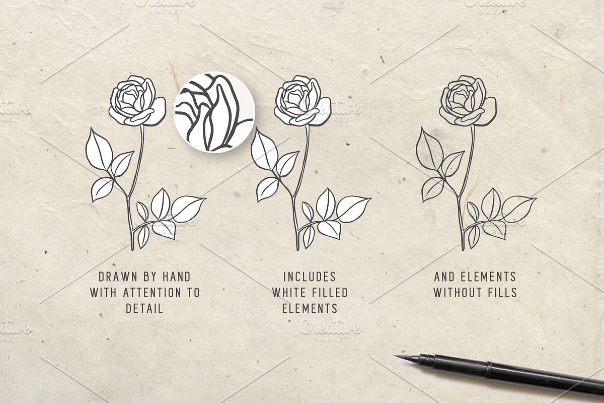 Botanical Illustrations & Logo Kit, an Illustration by BirDIY Design (Photo 4 of 10)