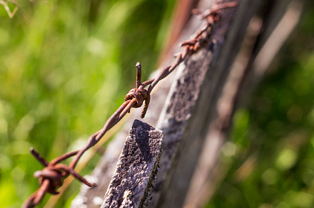 old rope preview 2