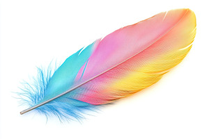 Colorful feather on white background, a Beauty & Fashion Photo by AlyaAnd