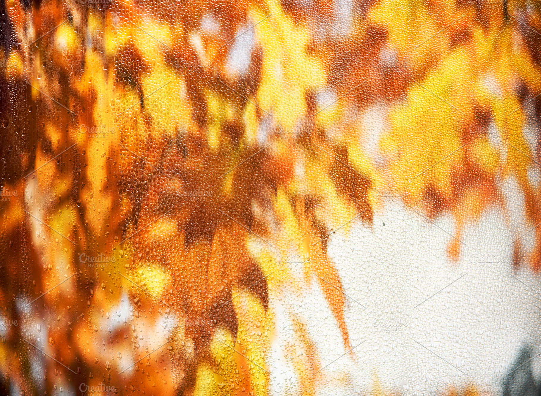 Rainy glass and yellow autumn leaves, a Nature Photo by hitdelight
