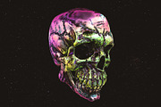 Skulls: 108 Skull Images, an Object Graphic by RuleByArt (Thumbnail 10 of 16)