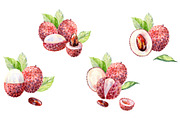Watercolor tropical fruits., an Illustration by TaPilipa (Thumbnail 6 of 39)
