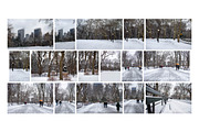 Winter In Central Park NYC Photos, an Arts & Entertainment Photo by Full Circle Design Studio (Thumbnail 5 of 5)