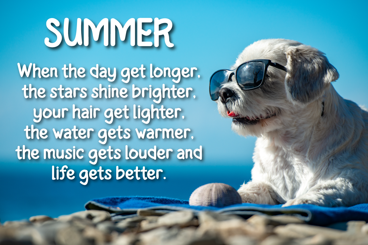 Tenky | Summer San Serif Display, a Sans Serif Font by twinstd (Photo 3 of 10)