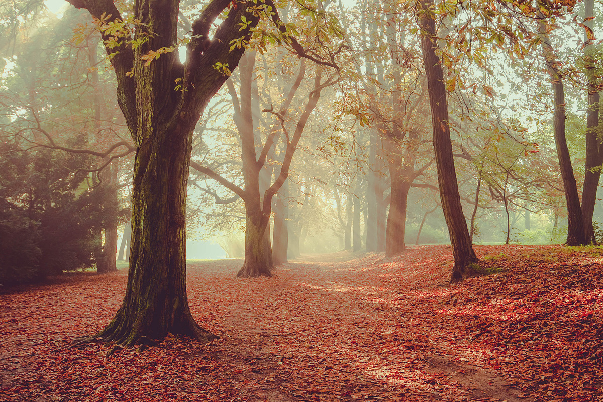10 Stunning Matte Landscape Presets, a Preset Add-On by Timeless Presets (Photo 8 of 13)