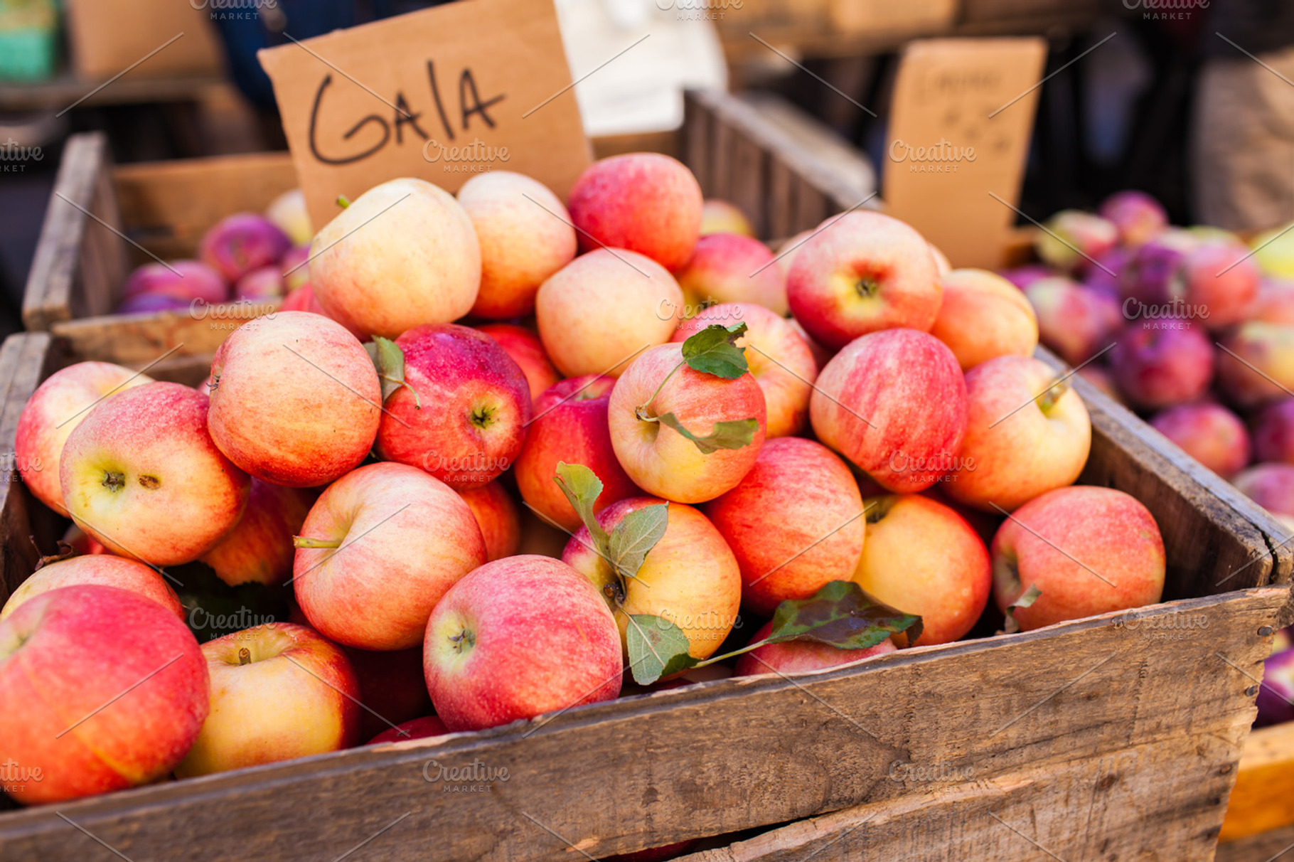 Fall autumn red apple harvest featuring happy, halloween, and fall, a Food & Drink Photo by kissandmockup