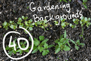 40 Gardening Backgrounds, a Nature Photo by Pullia