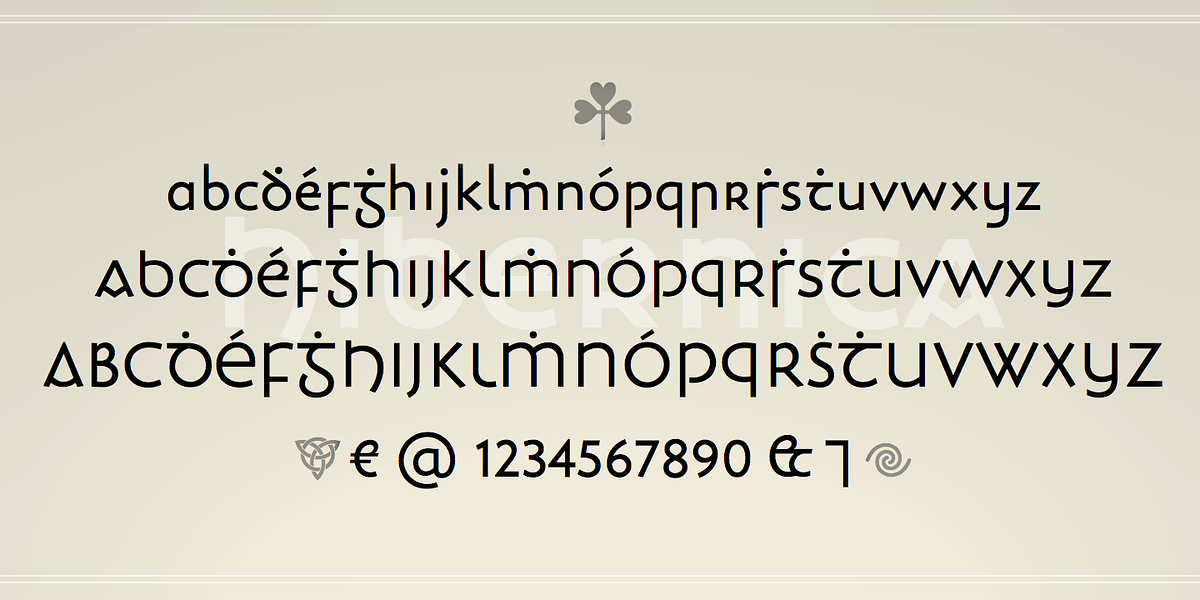 Hibernica, a Sans Serif Font by Andreas Stötzner (Photo 4 of 8)