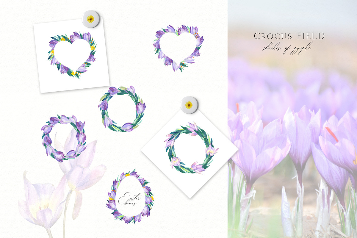 Spring Crocus Flowers Watercolor set, an Illustration by Olga Koelsch (Photo 3 of 8)