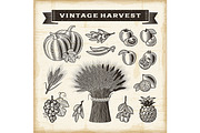 Vintage Harvest Set, a Food Illustration by Retro Graphics (Thumbnail 2 of 2)