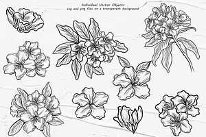 Rhododendron Line Art Clipart