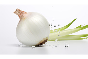 fresh white onion isolated ai, a Food & Drink Photo by pikepicture