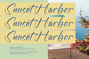 Floral Wish Handwritten Font, a Script Font by stylishtype.co (Thumbnail 19 of 20)