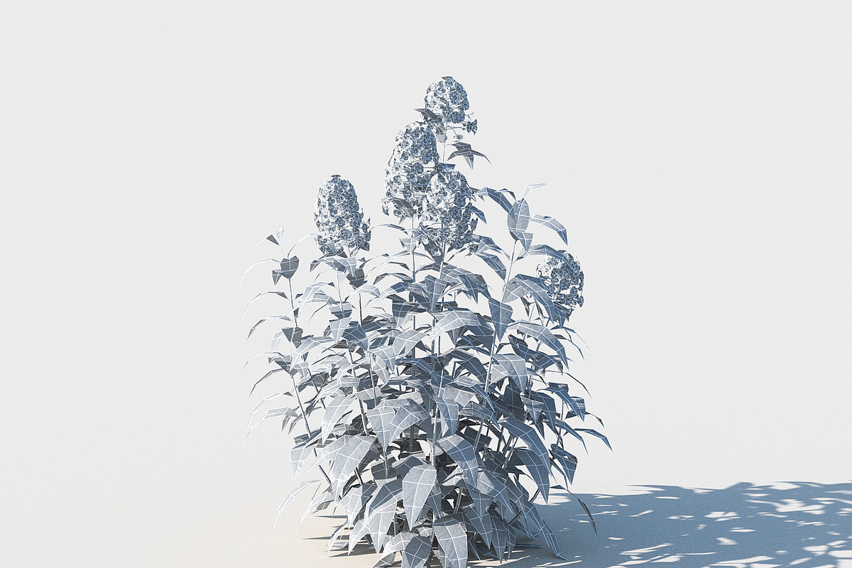 Phlox, an Environmental 3D Model by happy brush (Photo 4 of 6)