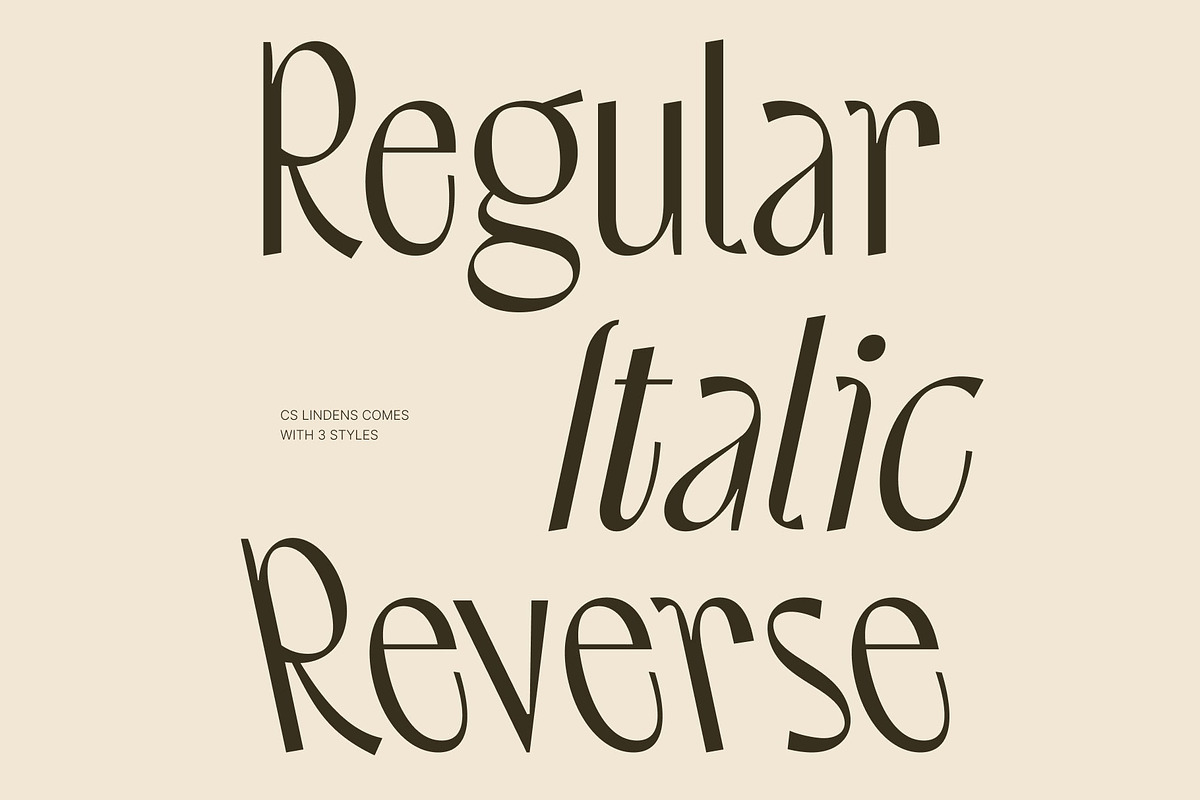 CS Lindens – Aesthetic Font, a Sans Serif Font by Craft Supply Co. (Photo 3 of 8)