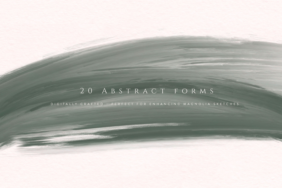 Modern Magnolia Floral Illustrations, an Illustration by Fire Spark Studio (Photo 5 of 9)