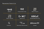 Neuesanstara Font Family, a Sans Serif Font by Bang Kumis Typefoundry (Thumbnail 7 of 7)