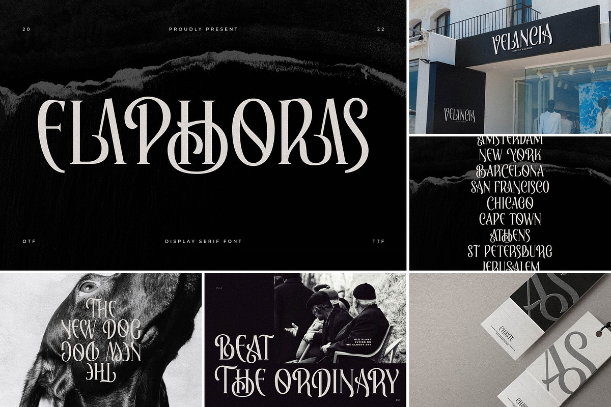 SALE! Modern & Stylish Serif Font, a Serif Font by Storytype Studio (Photo 18 of 41)