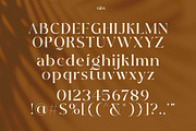 Abstain Ligature Luxury Serif, a Serif Font by Luna Shop (Thumbnail 3 of 9)