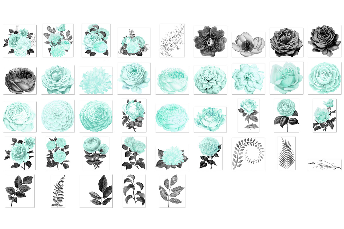 Aqua and Charcoal Floral Clipart, an Illustration by Digital Curio