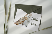 Owl Life Cycle Clip Arts and Print, an Education Illustration by Tati Bordiu (Thumbnail 4 of 5)