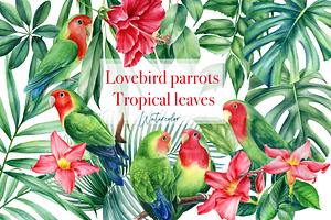 Lovebird Parrots And Tropical Leaves