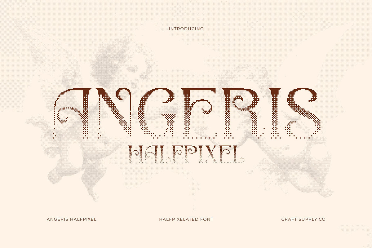 Angeris Halfpixel, a Serif Font by Craft Supply Co. (Photo 1 of 8)