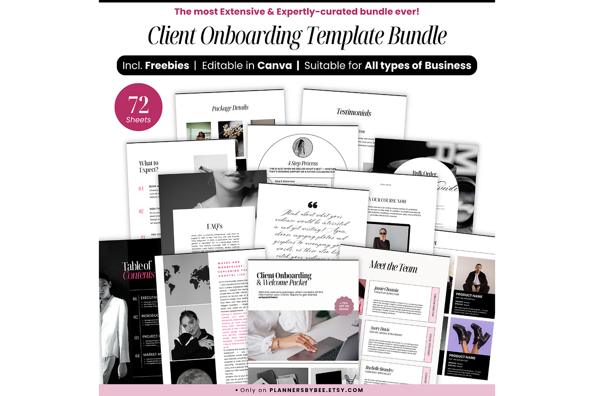 Client Welcome Packet Template, a Templates & Theme by PlannersByBee (Photo 1 of 4)