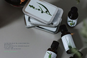 Vintage Jungle - Botany Tropical Set, an Object Graphic by Kaleriia (Thumbnail 11 of 12)