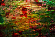 Abstract dark green,Unique green art, an Abstract Photo by Manis recycle abstract (Thumbnail 2 of 3)