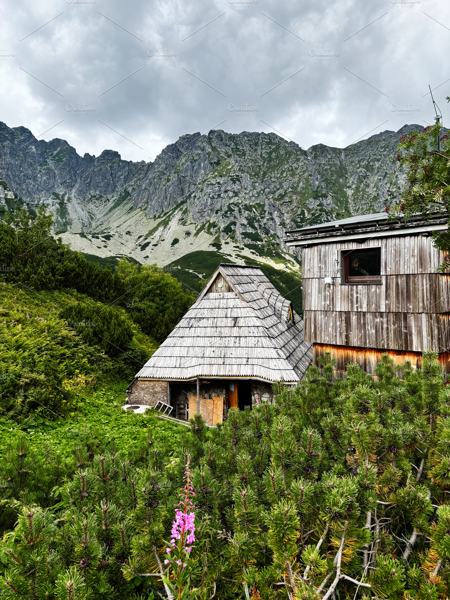 Scenic mountain huts in Zakopane Poland surrounded by lush greenery and rugged, a Nature Photo by AS photostudio