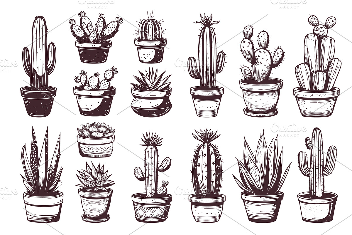 cacti engraving set. hand drawn, an Object Illustration by Stock-Smart-Start