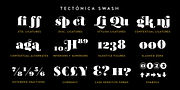 Tectónica, a Serif Font by Untype (Thumbnail 11 of 14)