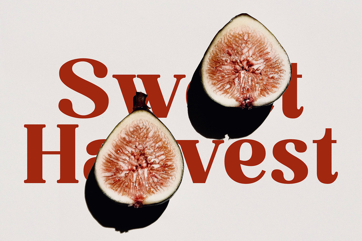 Calibria – Bold & Elegant Serif, a Serif Font by Almeera Std (Photo 9 of 10)